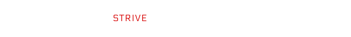 
STRIVE FOR EXCELLENCE
